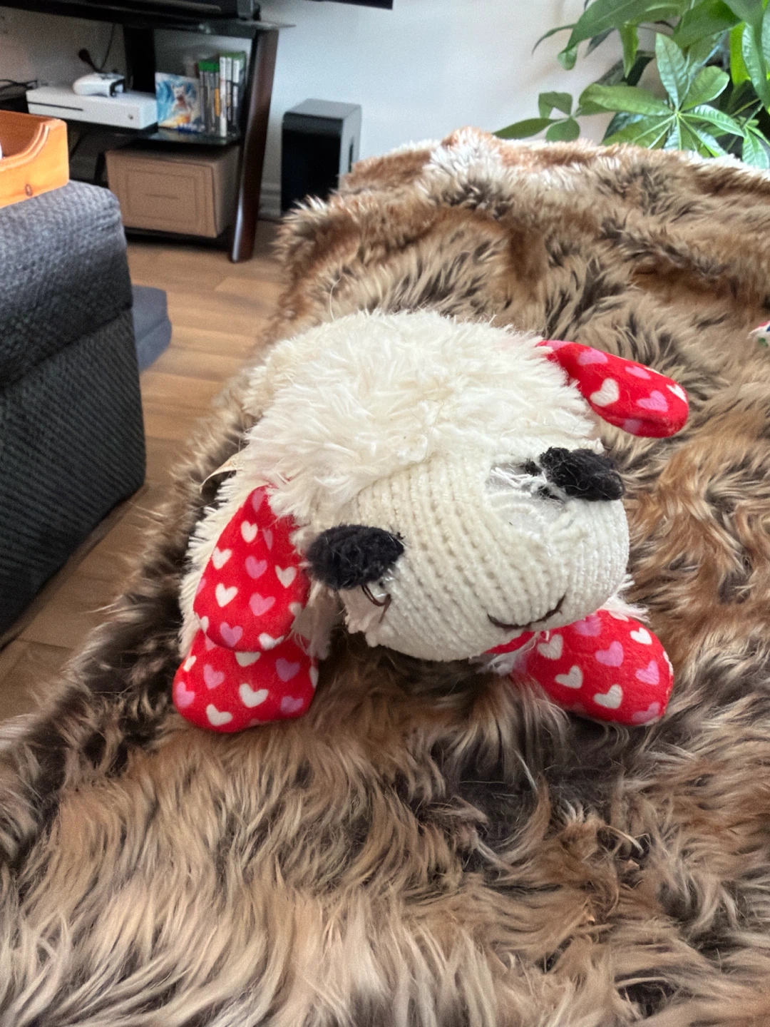 🏈 Valentine's Day Plush Lambchop Dog toy