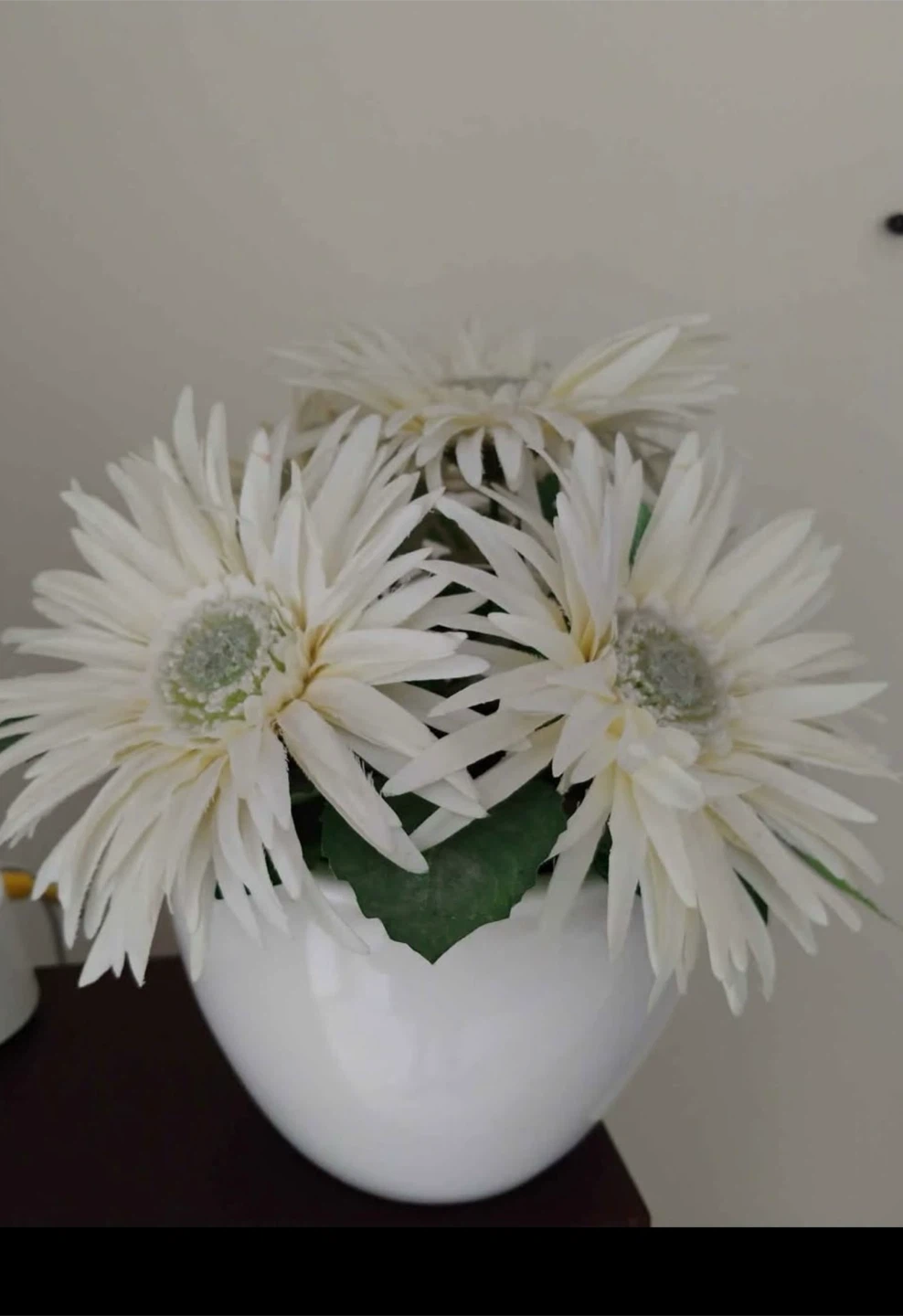 Artificial White Daisy in White Pot 🏈
