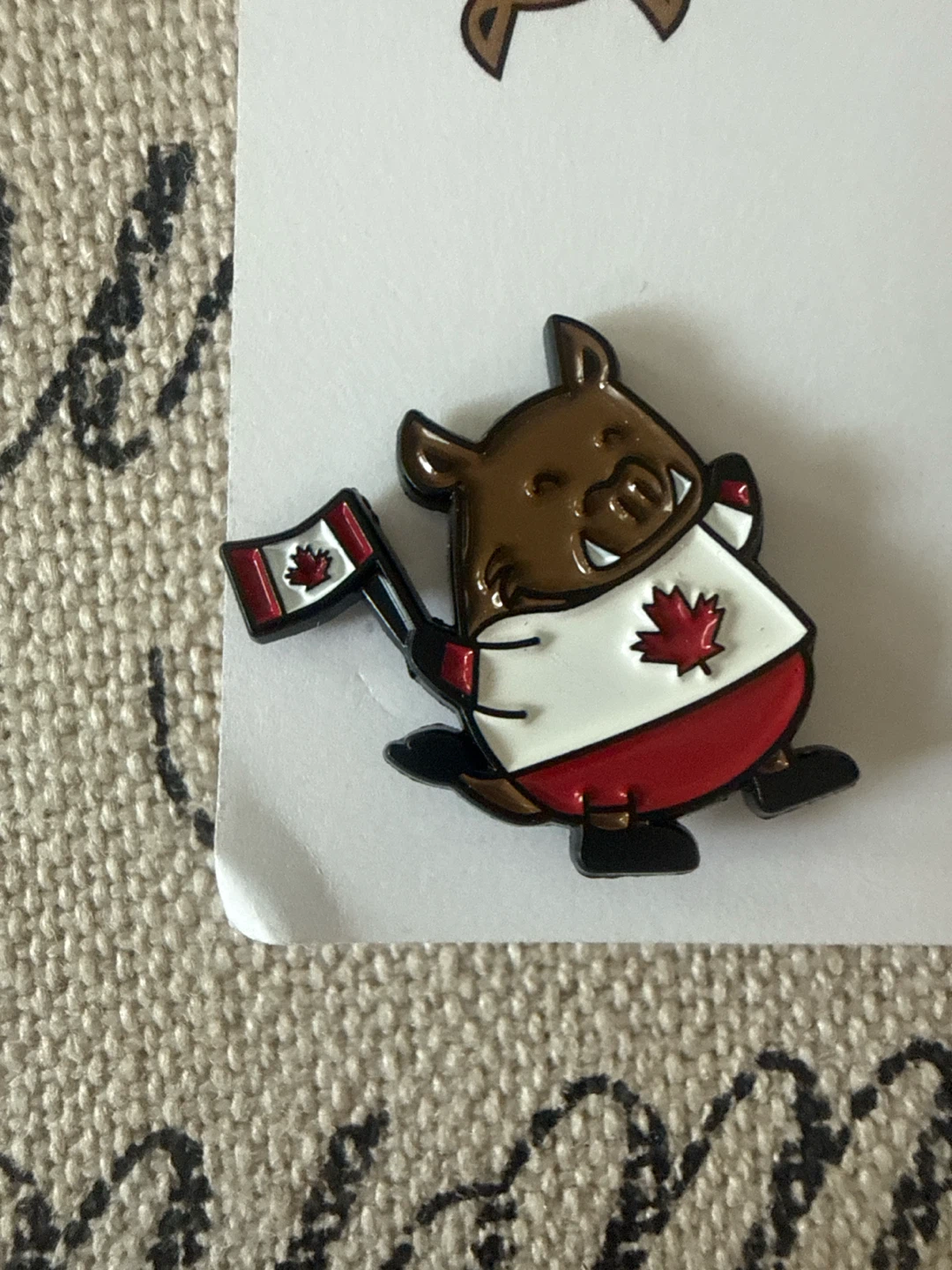 🏈 University of Waterloo Faculty of Arts Pin - photo 2