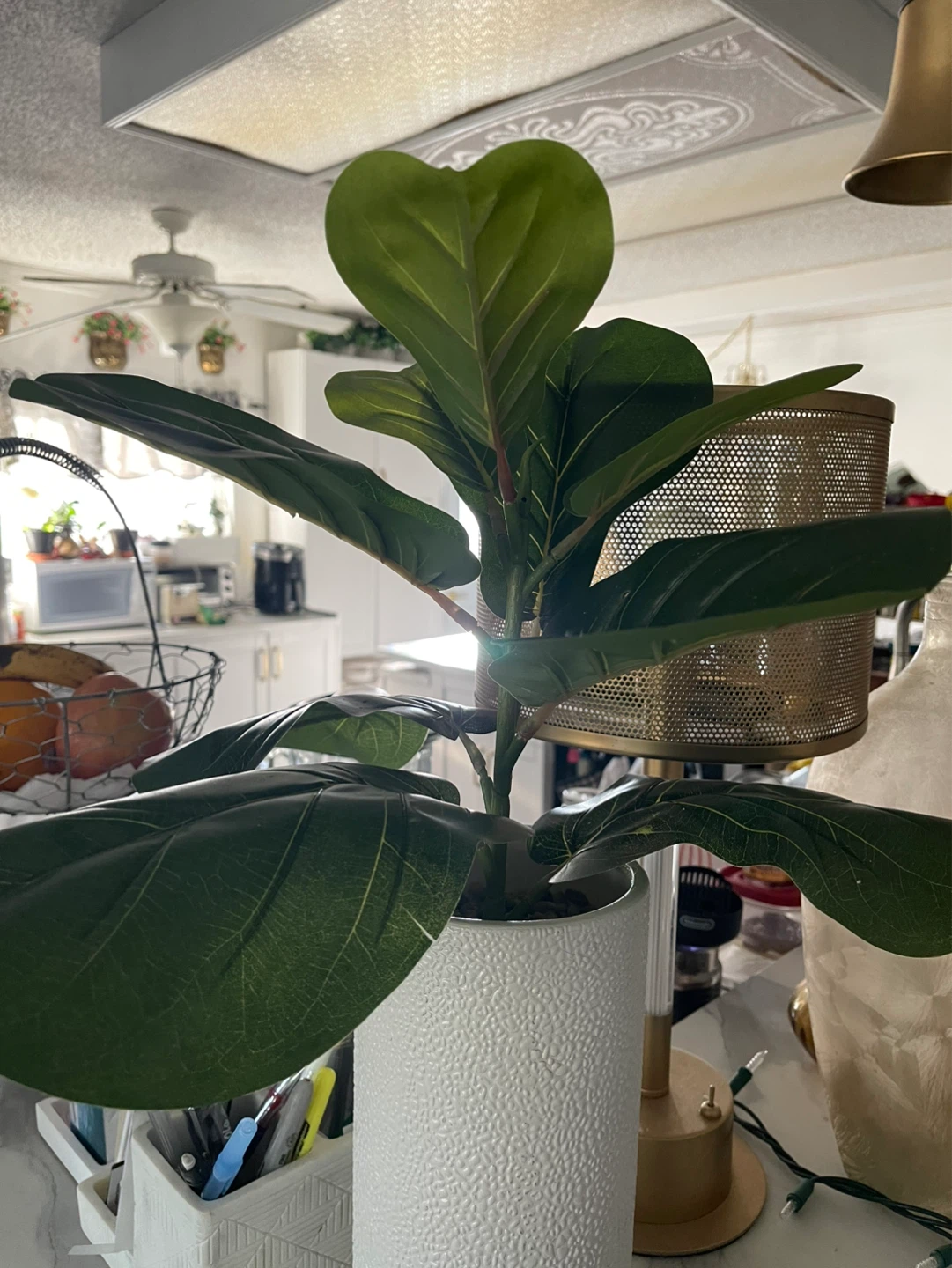 Fake Fiddle Leaf Plant in White Pot