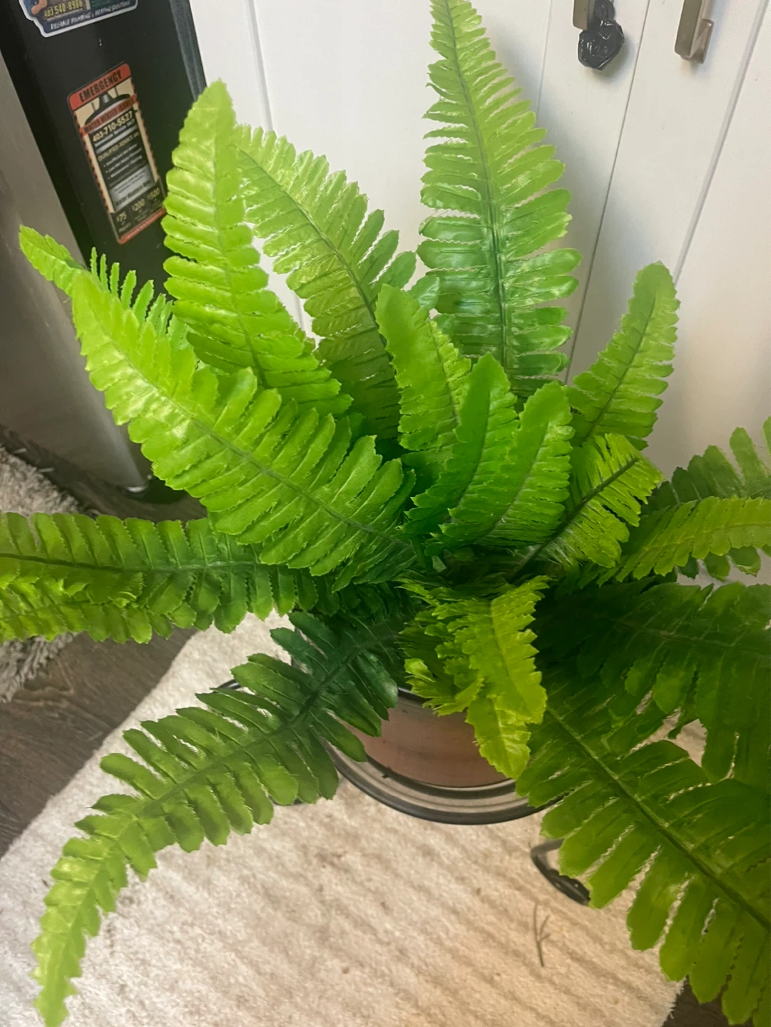 Silk Boston Fern, Pot and Iron Stand - photo 3