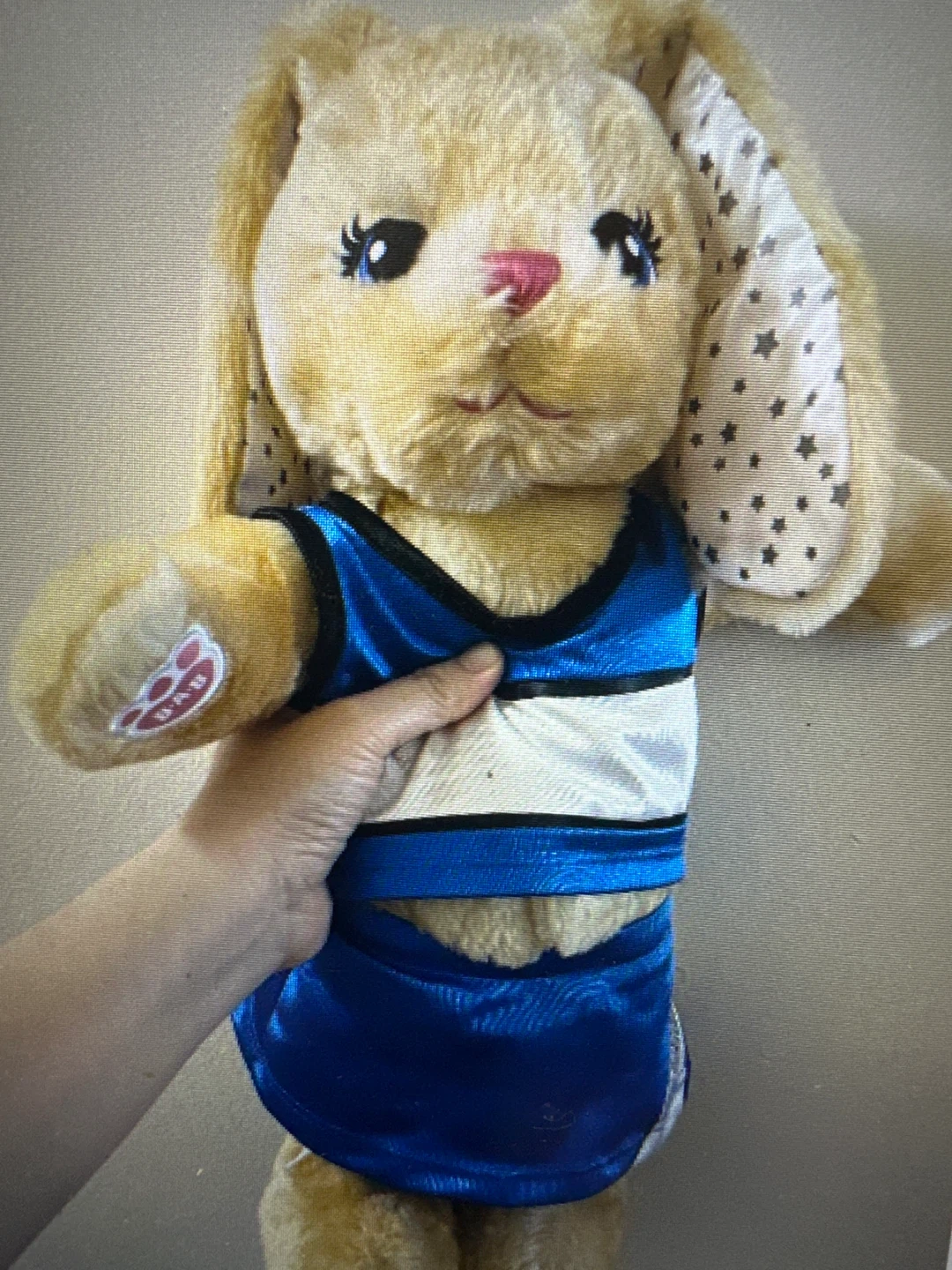 Build-A-Bear Workshop Plush Bunny
