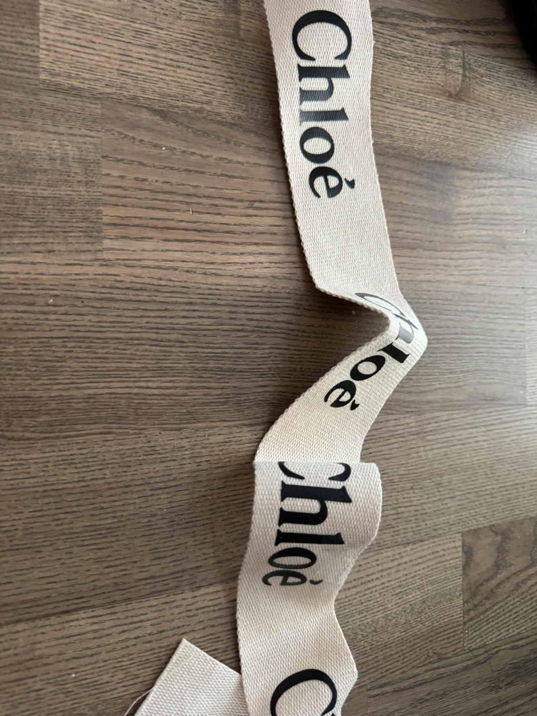 Chloé Logo Canvas Bag Strap - photo 5