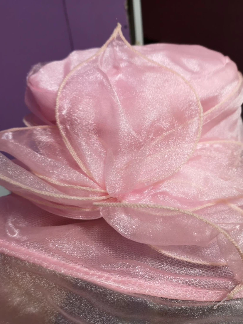 Light Pink Organza Hat