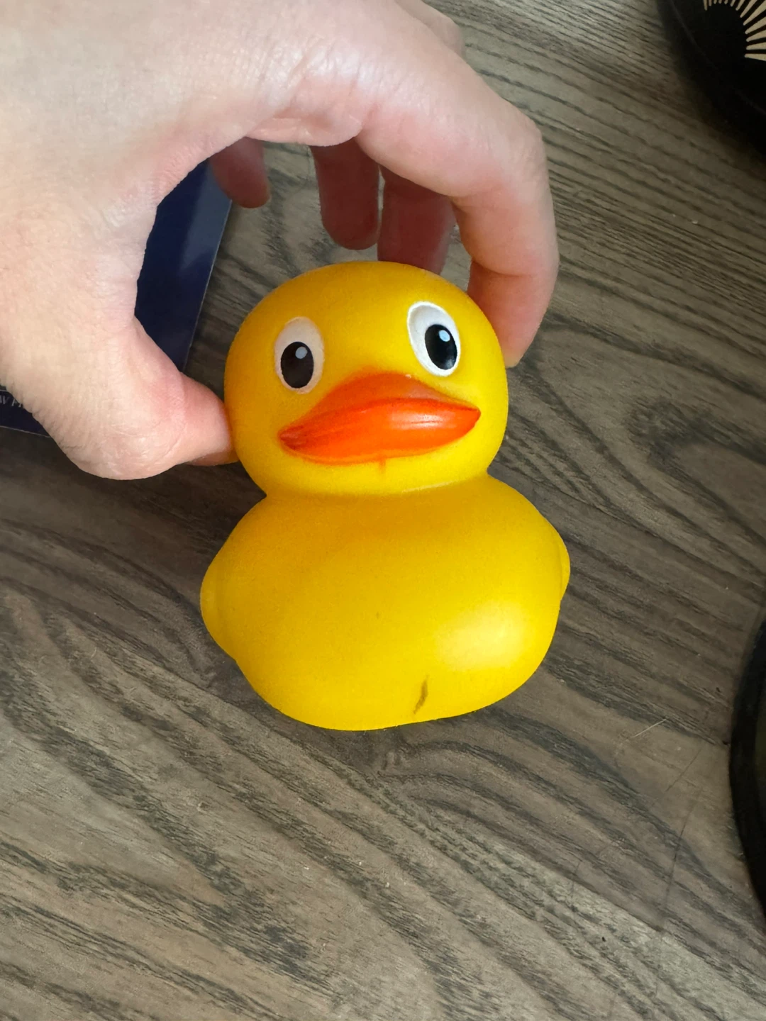 Rubber Duck Night Light