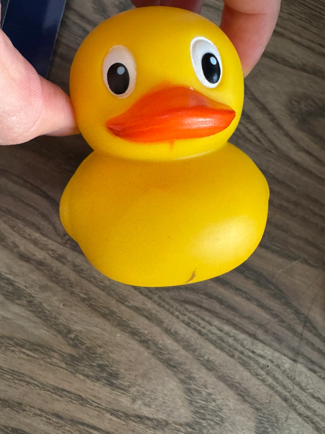 Rubber Duck Night Light - photo 2