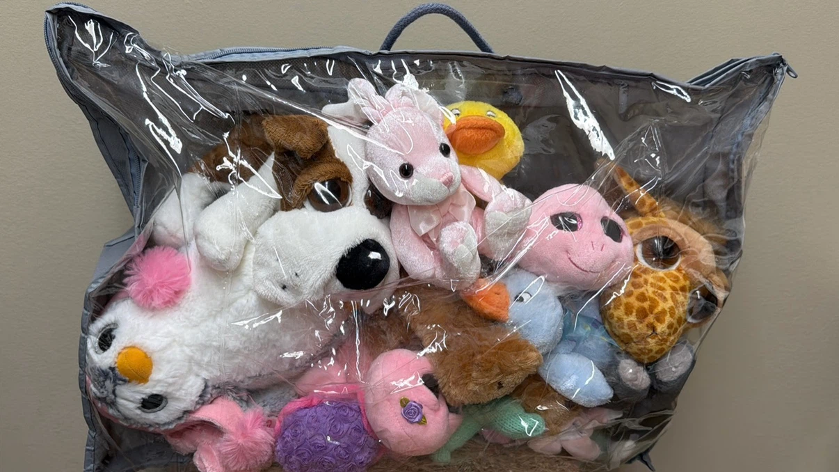 Huge Stuffed Animal Plush Lot (17Pcs) - photo 5