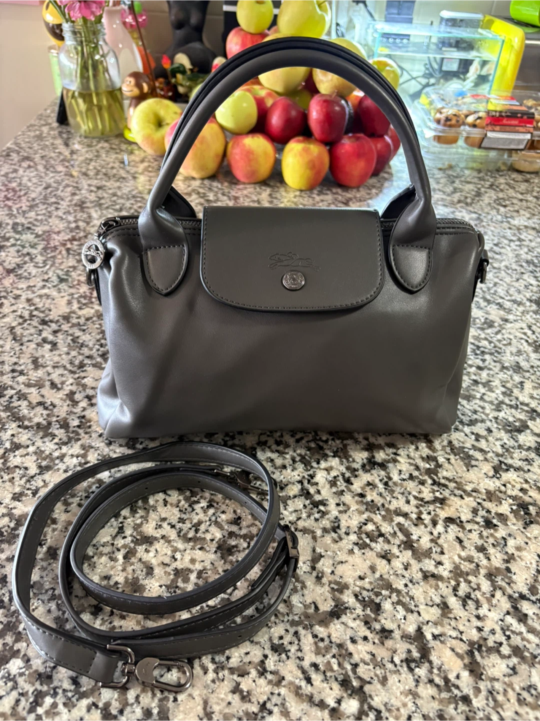 Longchamp Le Pliage Cuir Handbag
