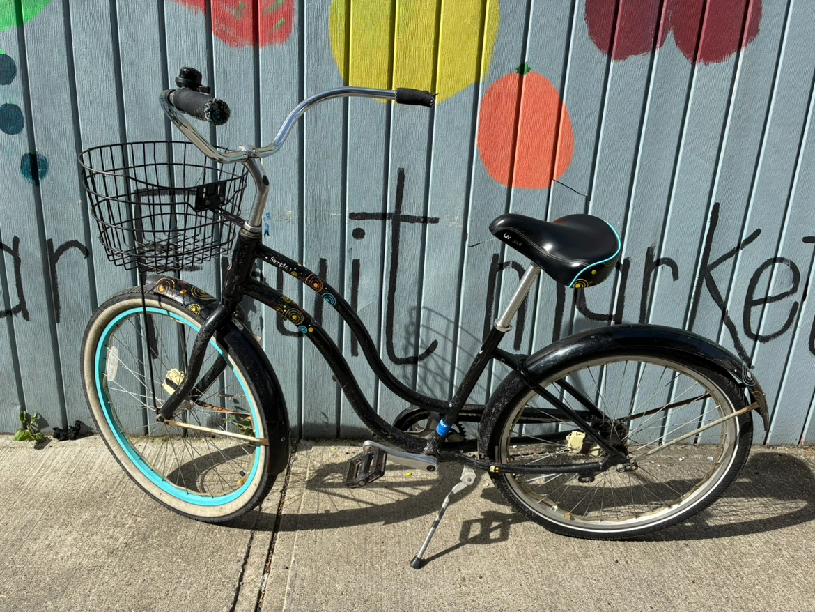 One Speed Beach Cruiser Bike - photo 3
