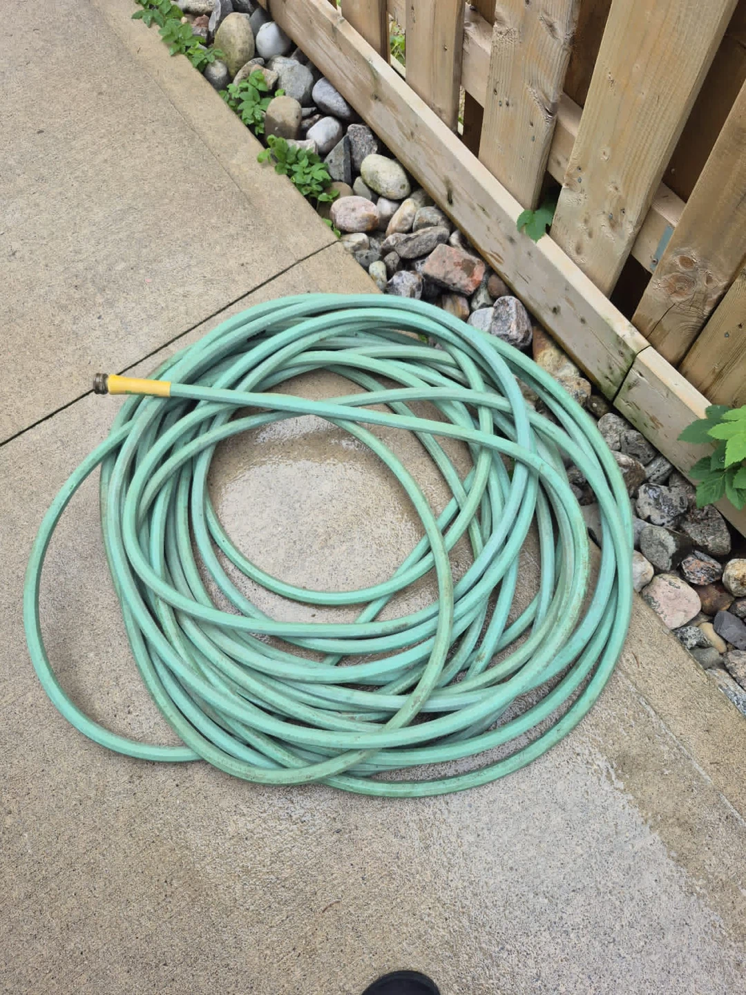 Green Garden Hose
