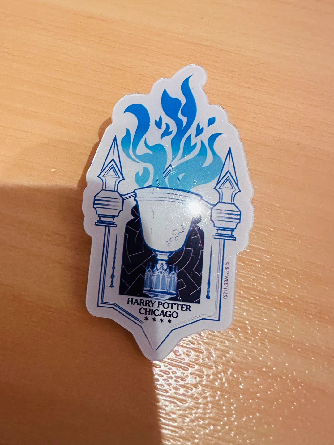 Harry Potter Chicago Goblet of Fire Pin🏈