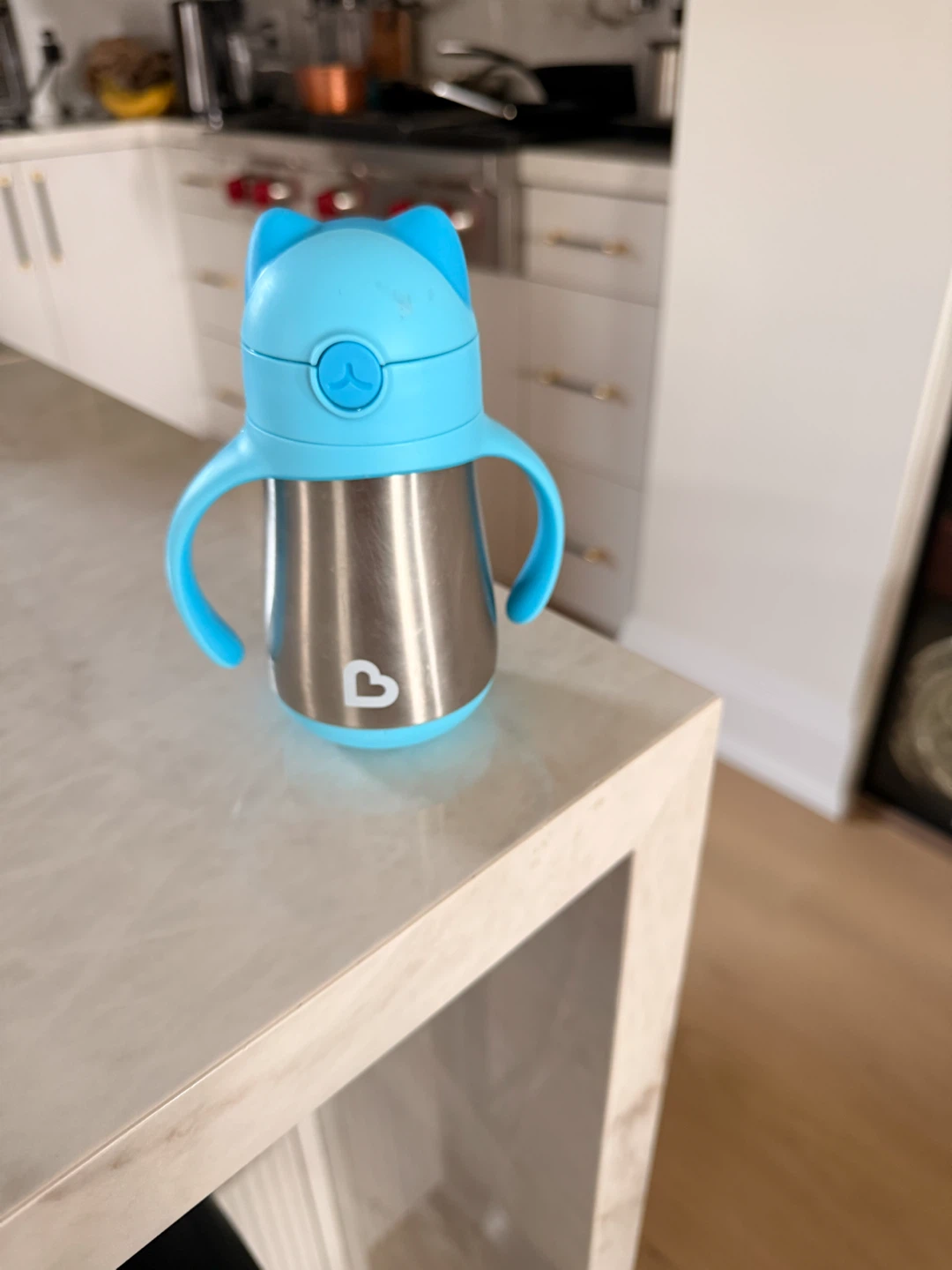 Munchkin Stainless Steel Cat Sippy Cup
