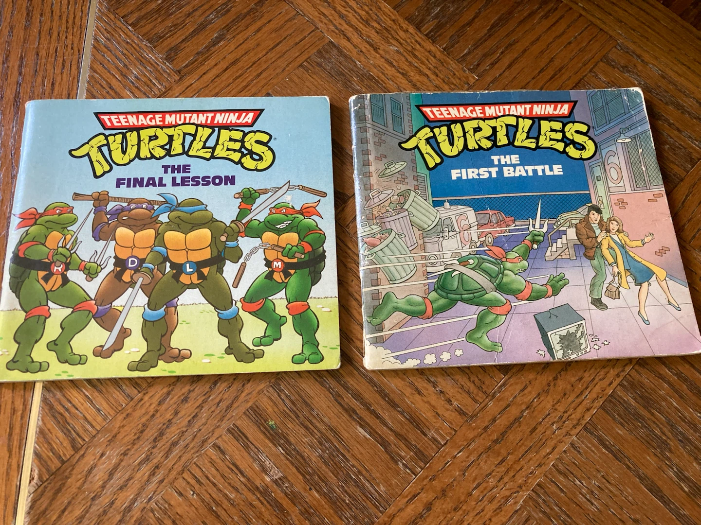 2 Teenage Mutant Ninja Turtles Mini-Storybooks