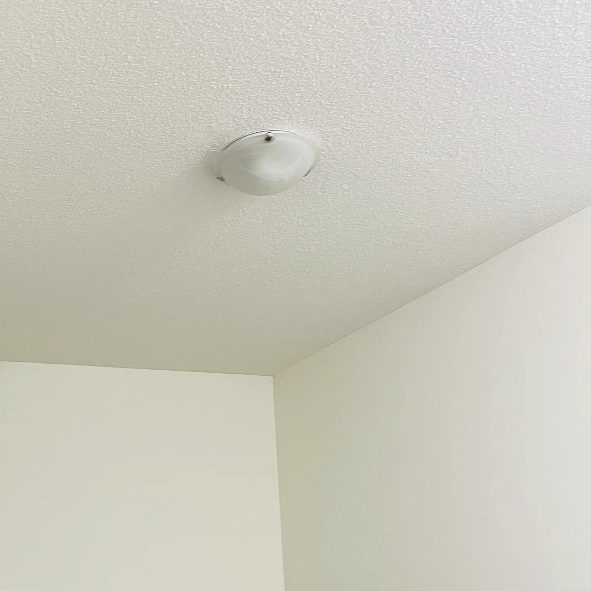 Flush Mount Ceiling Light