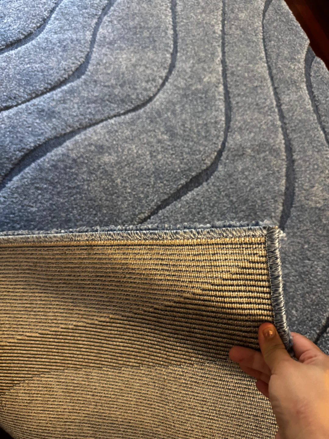 Safavieh Florida Shag Area Rug Light Blue - photo 2