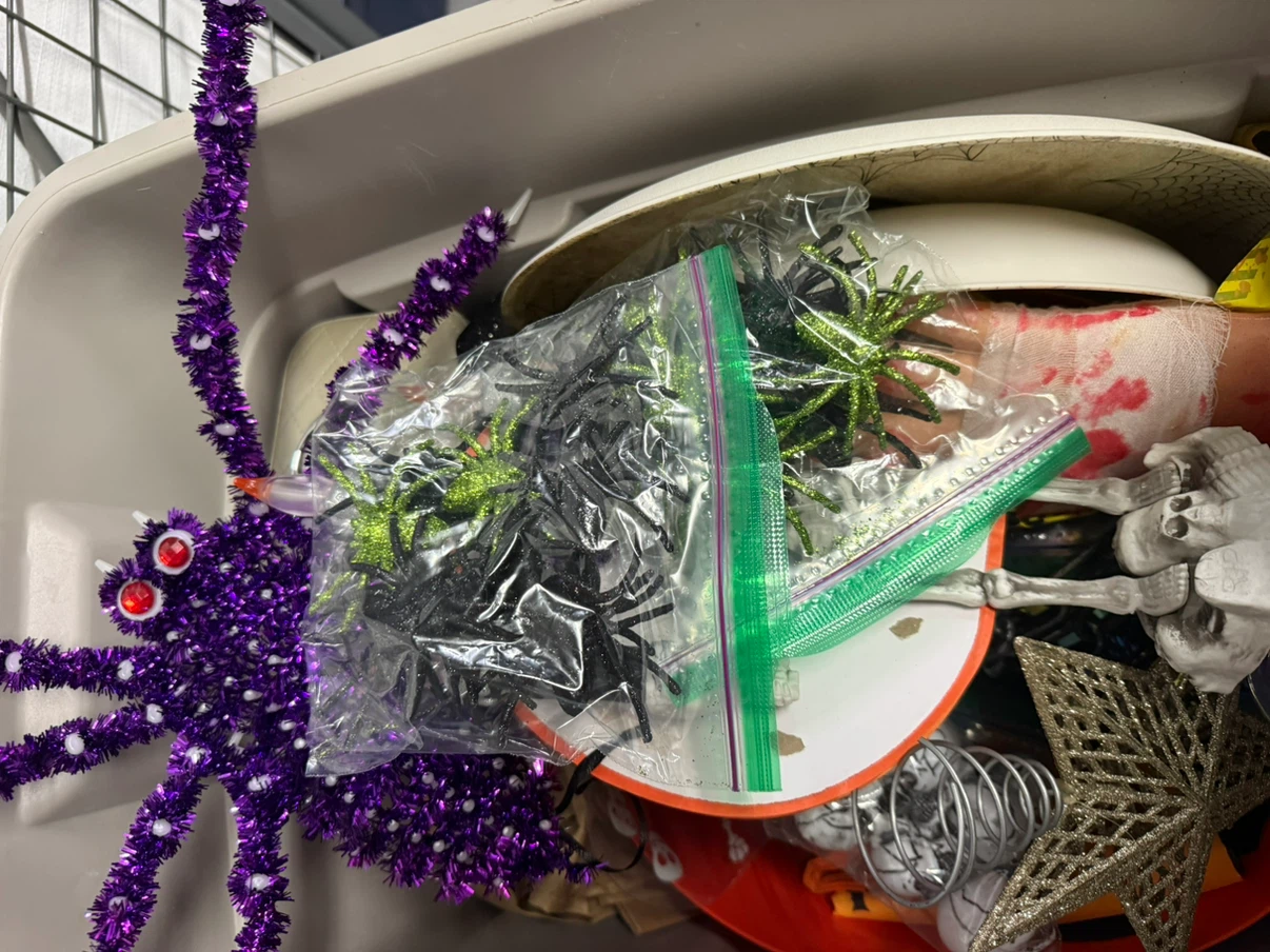 Halloween Decorations - photo 5