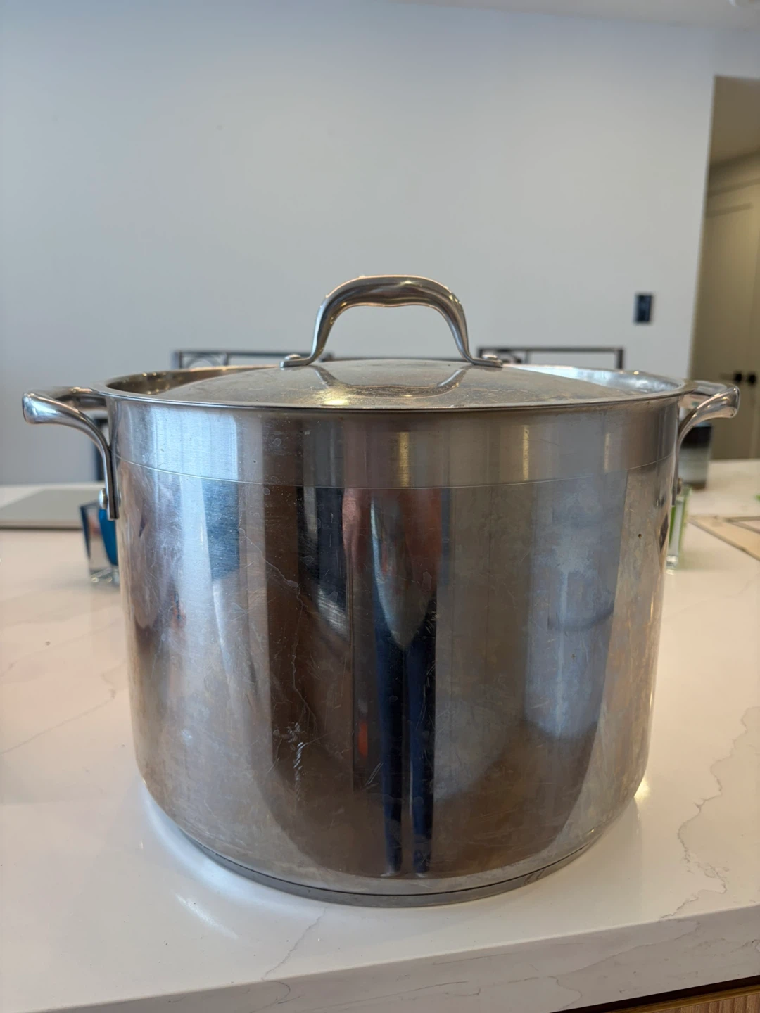 Large 14L Stainless Steel Stockpot