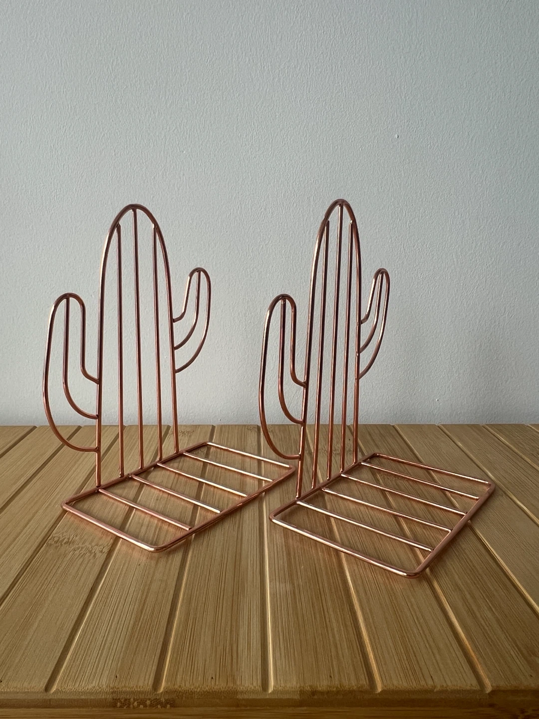 Cute Cactus Shaped Bookends🏈