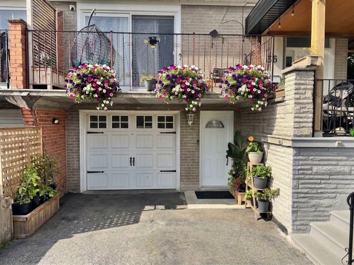 Renovated Basement Apartment for Rent