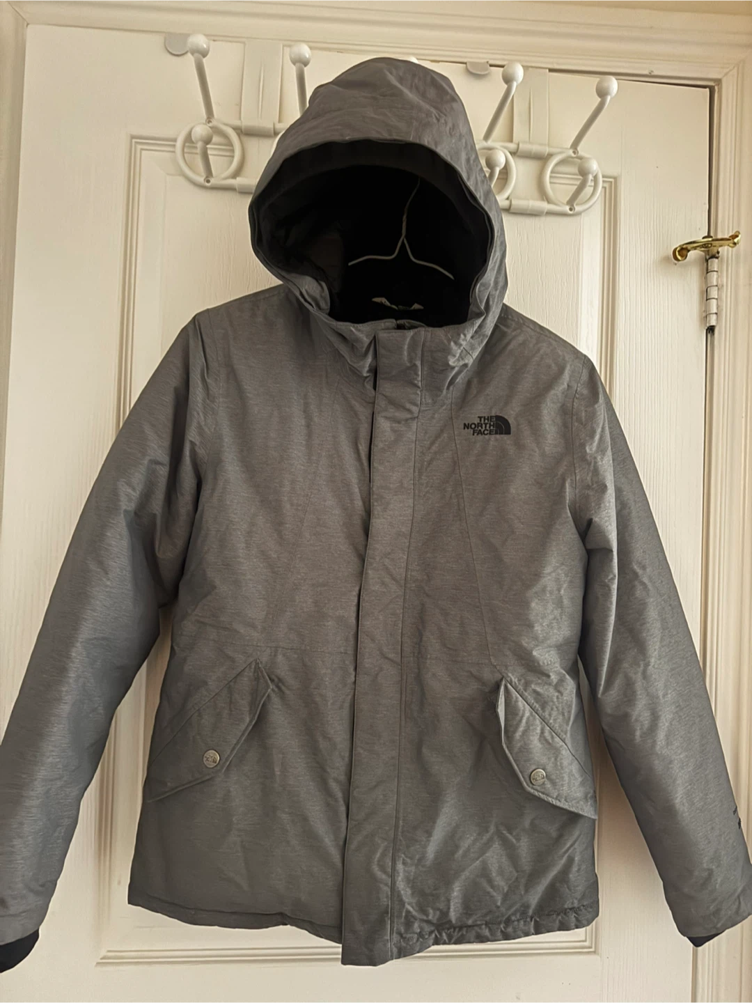 The North Face DryVent 550 Down Jacket