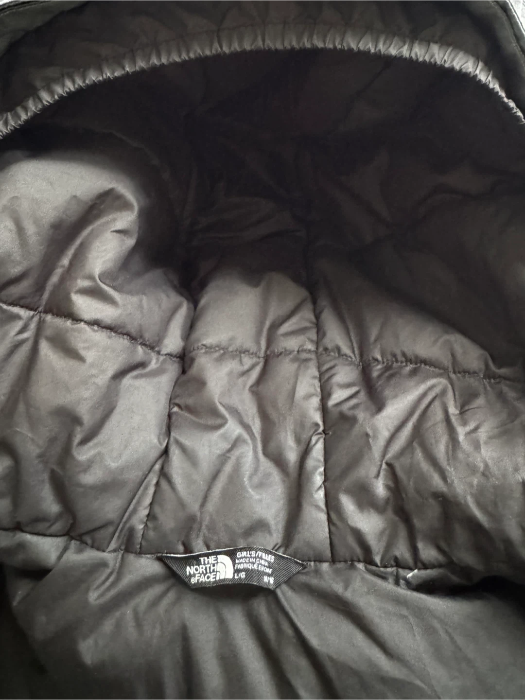 The North Face DryVent 550 Down Jacket - photo 4