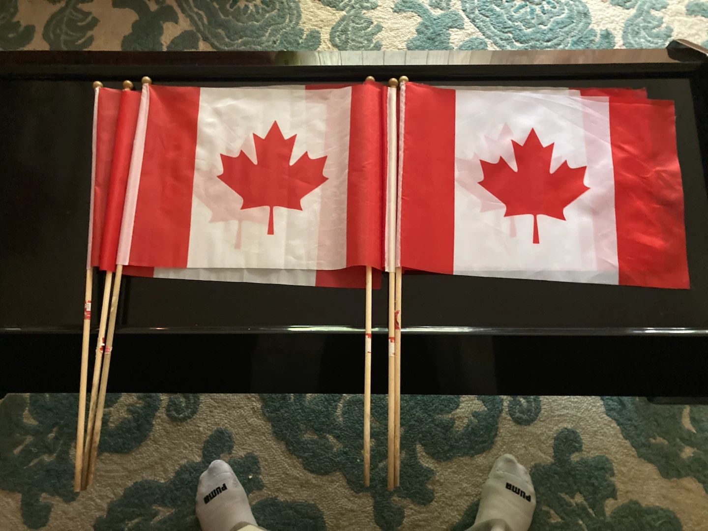 Canadian Flags - Medium Size