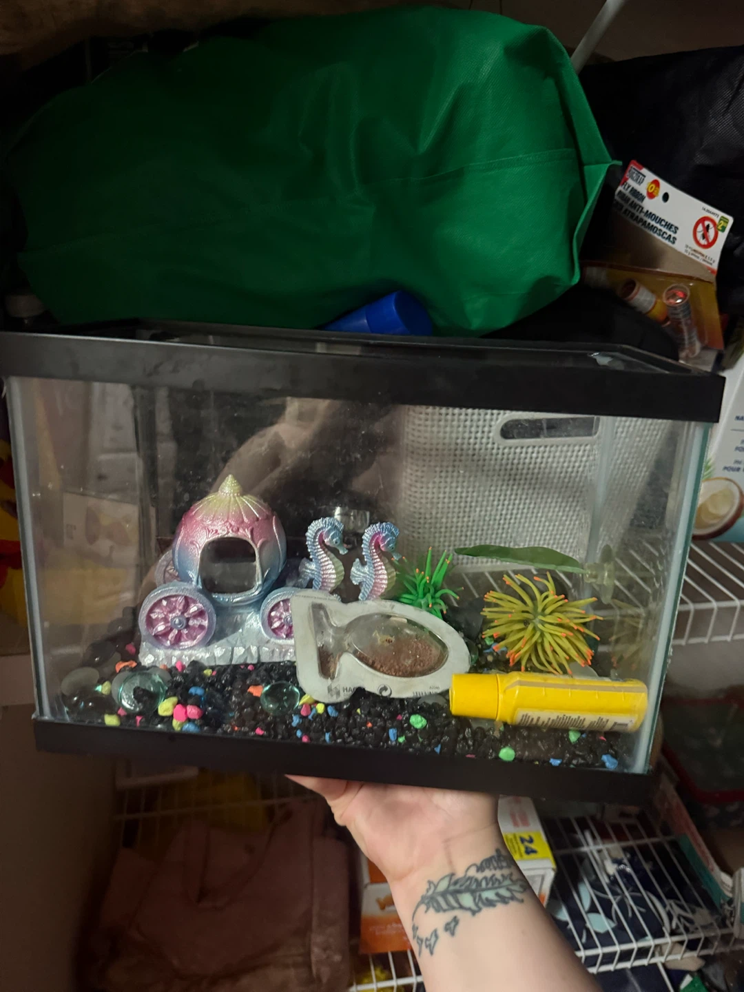 Small Glass Aquarium Tank
