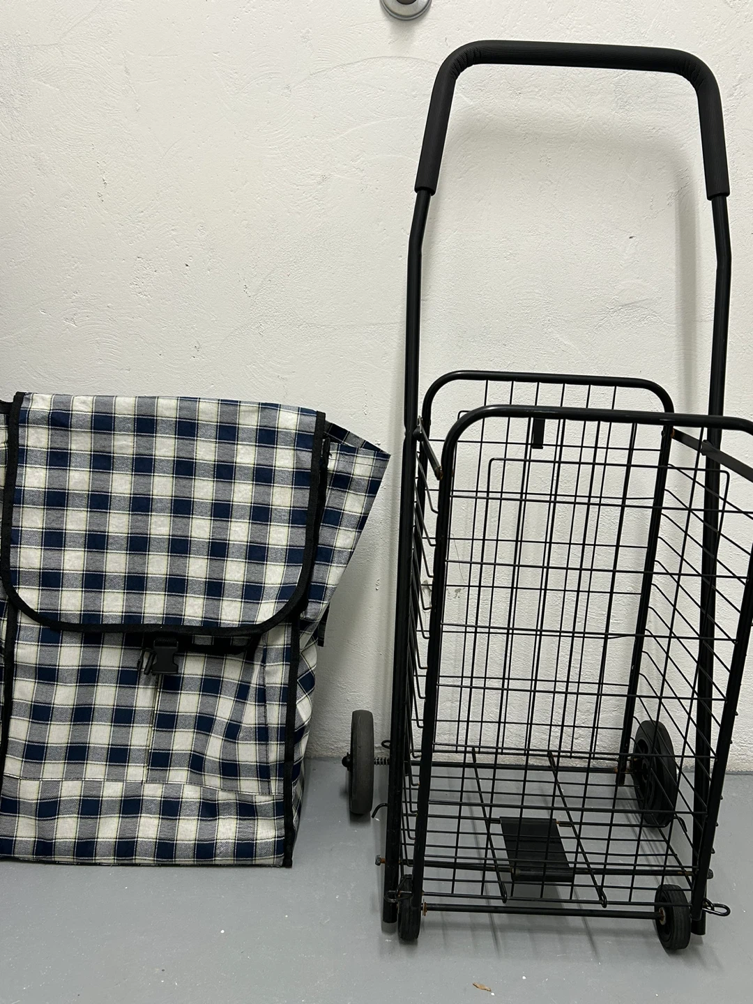 Free bag and Two Assorted Shopping Carts - photo 2