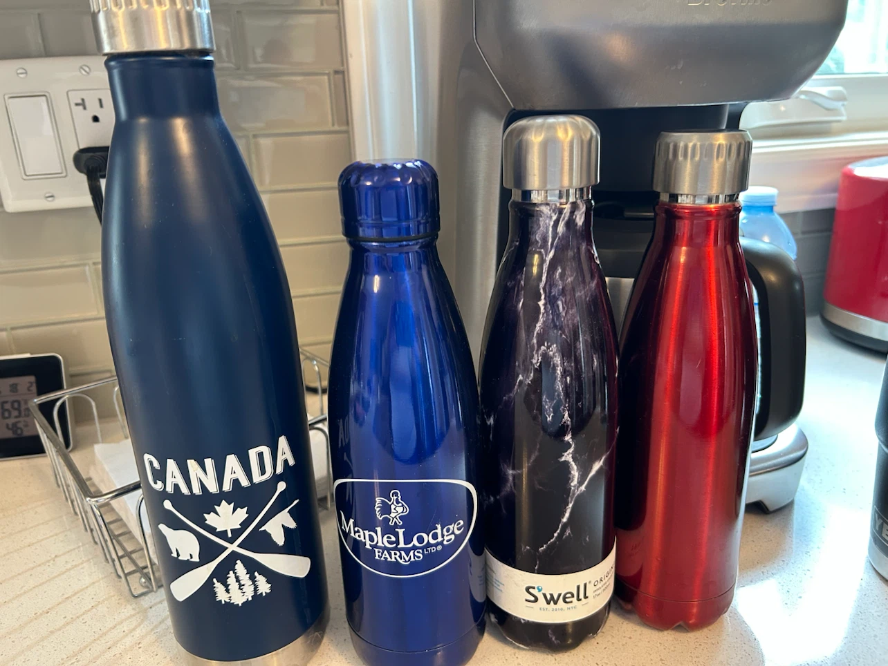 Set of 4 Insulated Water Bottles