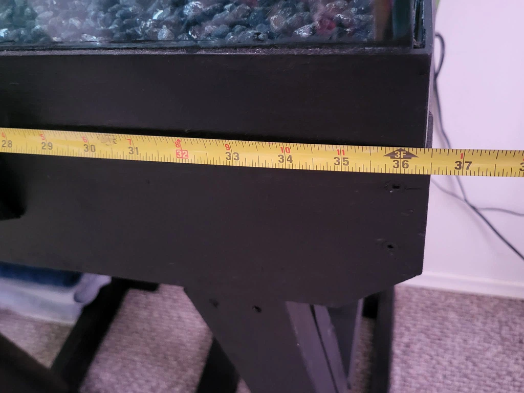 Live Pictus Catfish with complete set up - photo 4