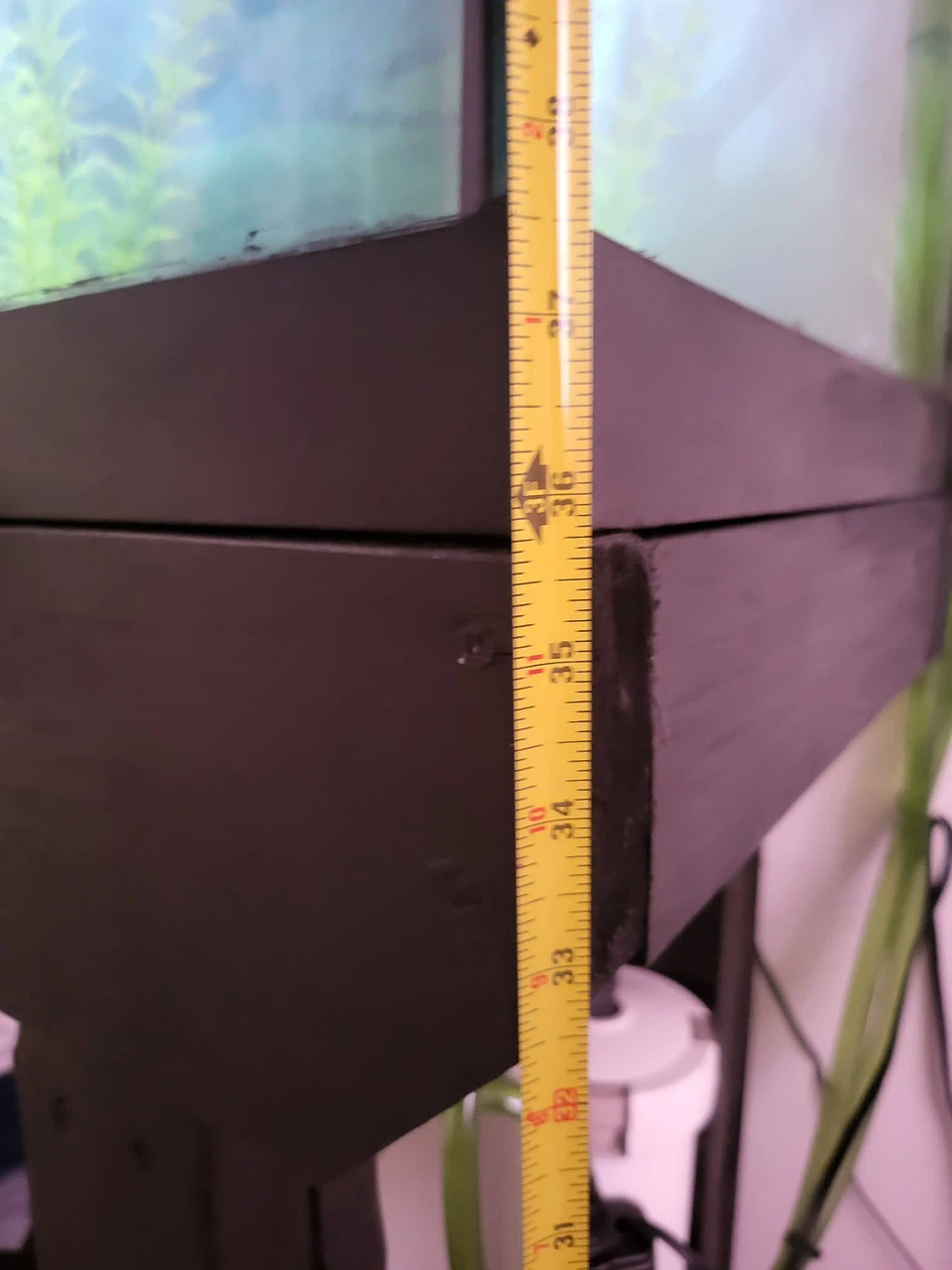 Live Pictus Catfish with complete set up - photo 5