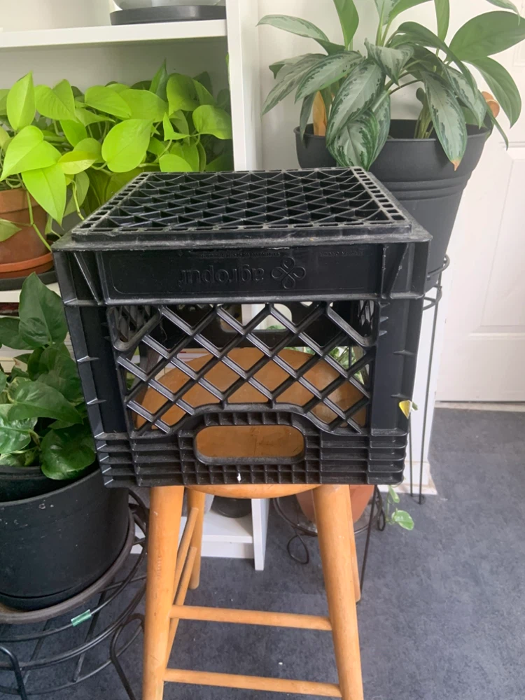 Black milk crate - photo 2