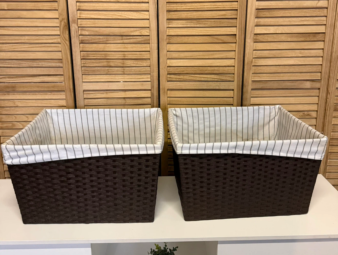 Set of 2 Woven Storage Baskets with Fabric Liners