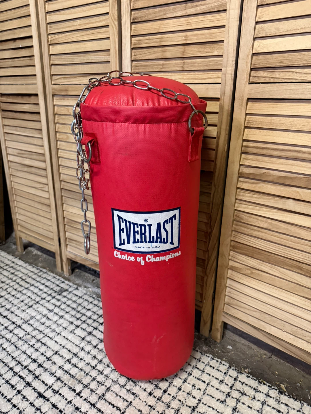 Everlast Punching Bag