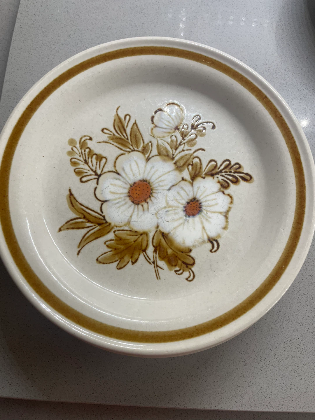 🏈 VINTAGE & RARE Set of 4 Stoneware Plates