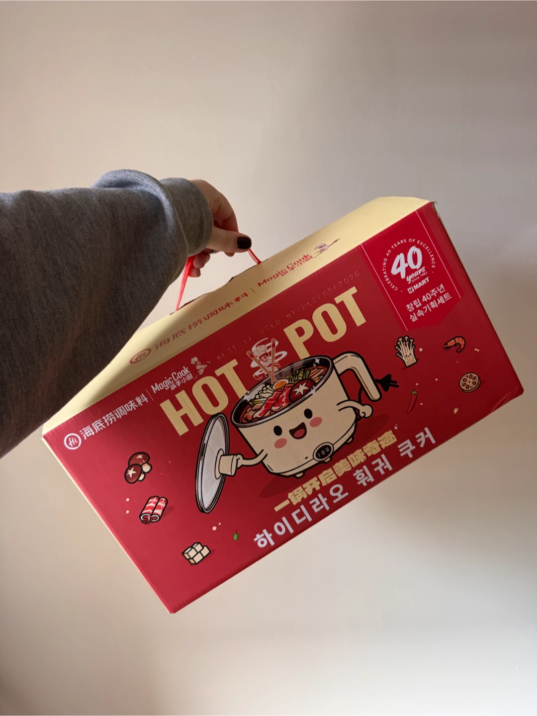 Haidilao Magic Cook Hot Pot Set