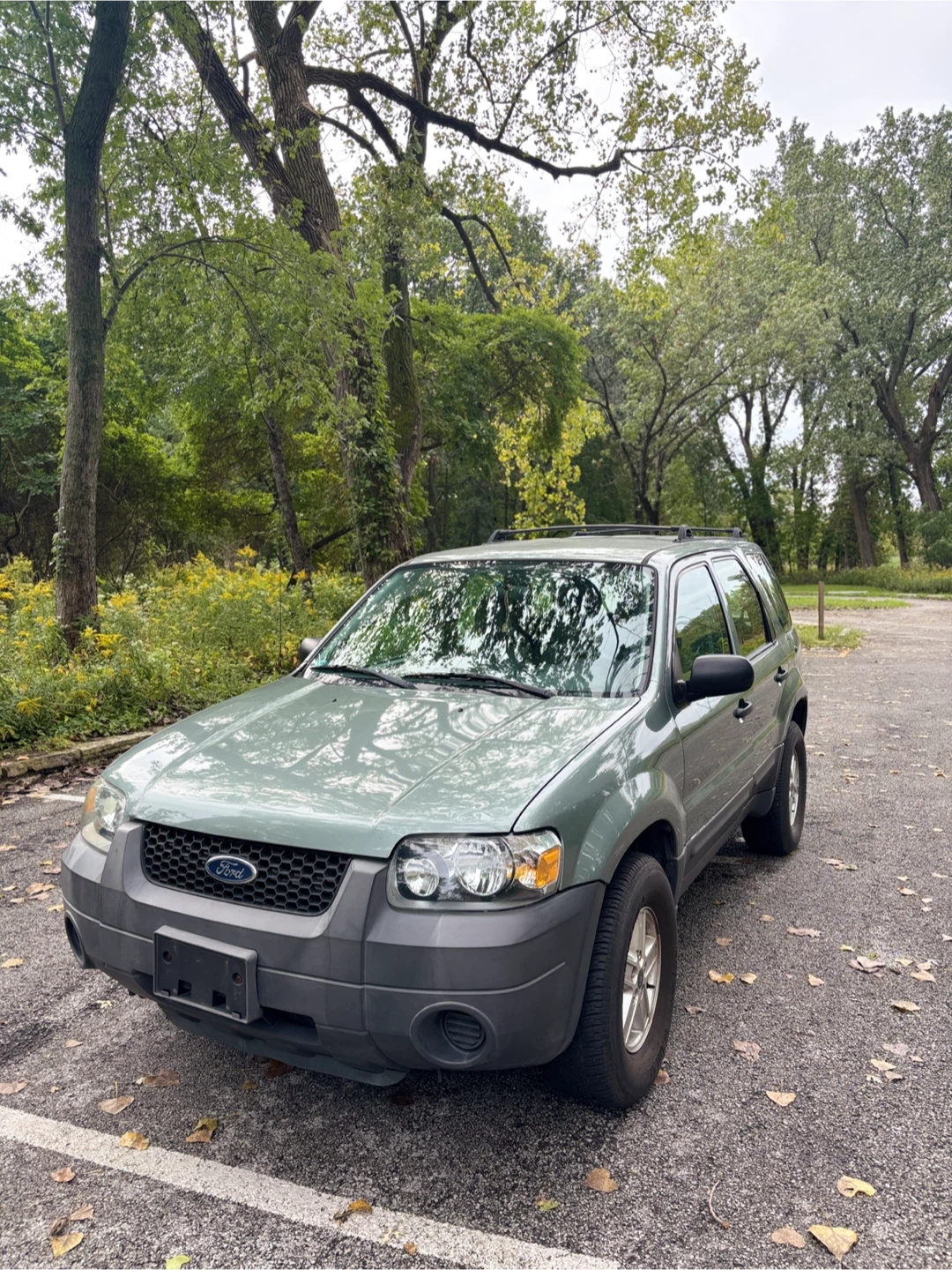 Ford Escape SUV