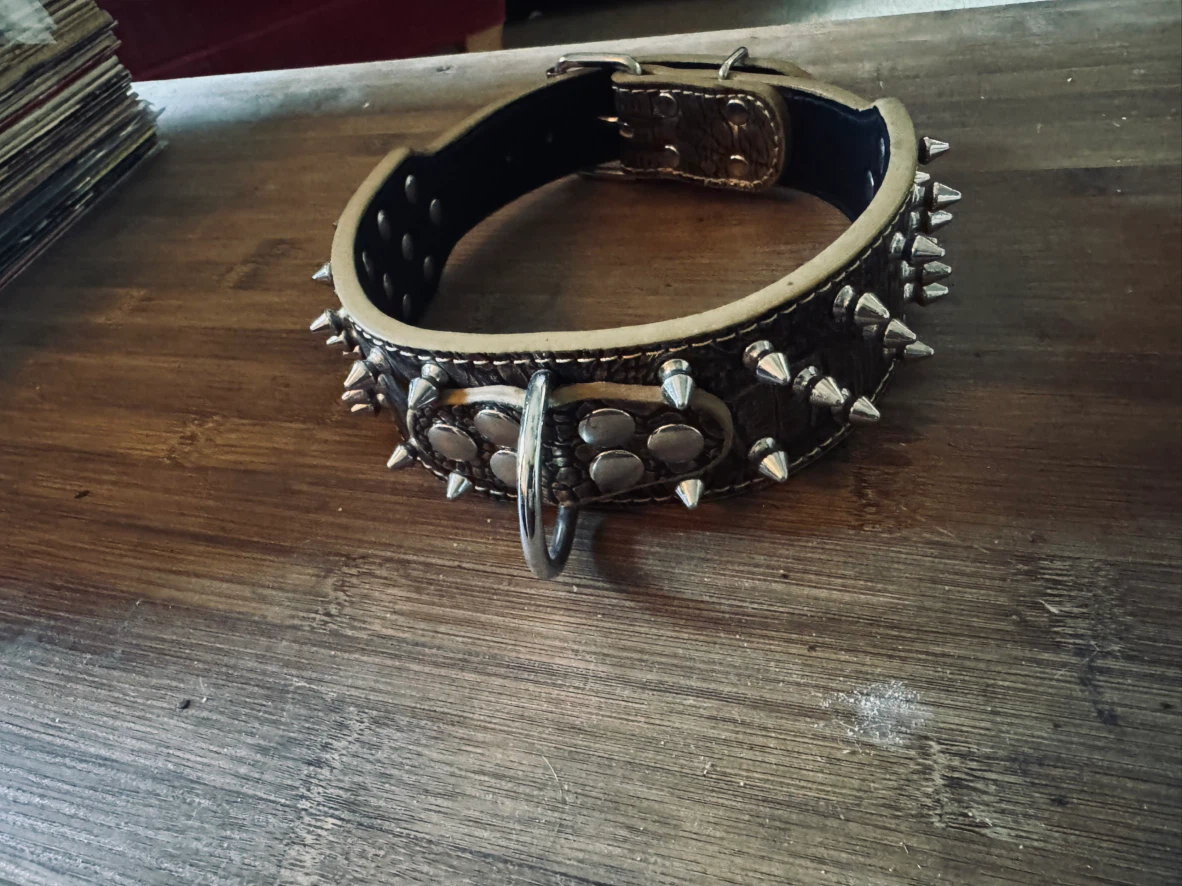 Studded Crocodile-Pattern Dog Collar