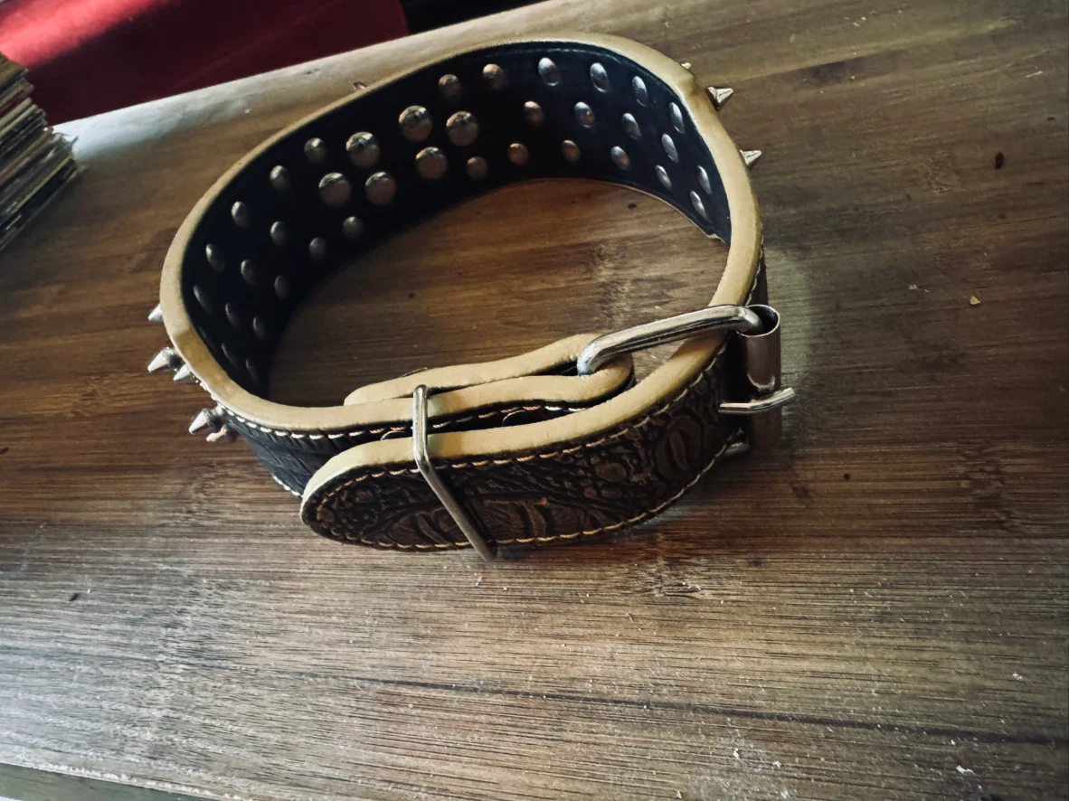 Studded Crocodile-Pattern Dog Collar - photo 2
