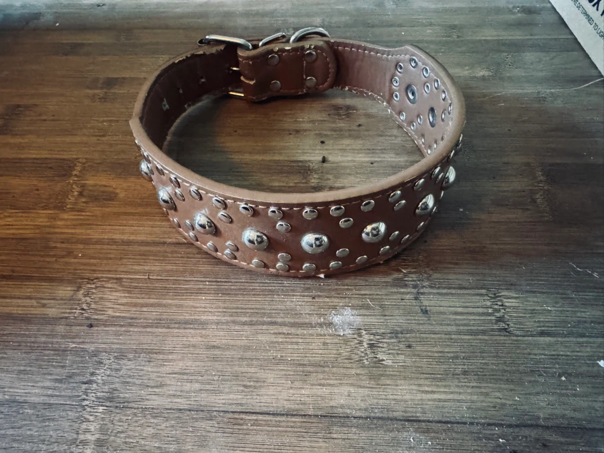 Studded Brown Leather Dog Collar - photo 2