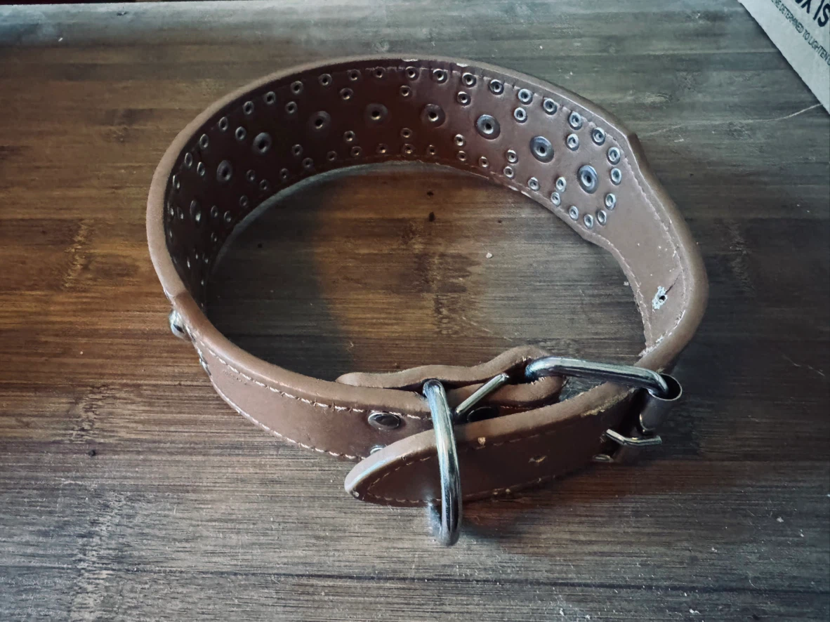Studded Brown Leather Dog Collar - photo 3