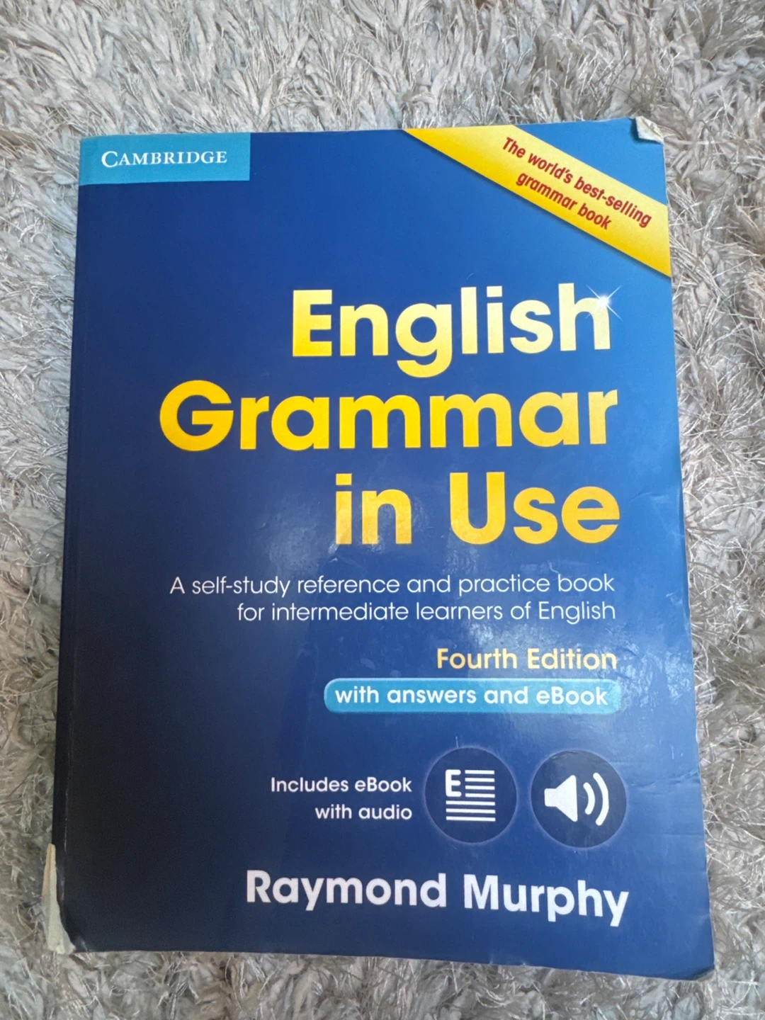 English Grammar in Use - Fourth Edition