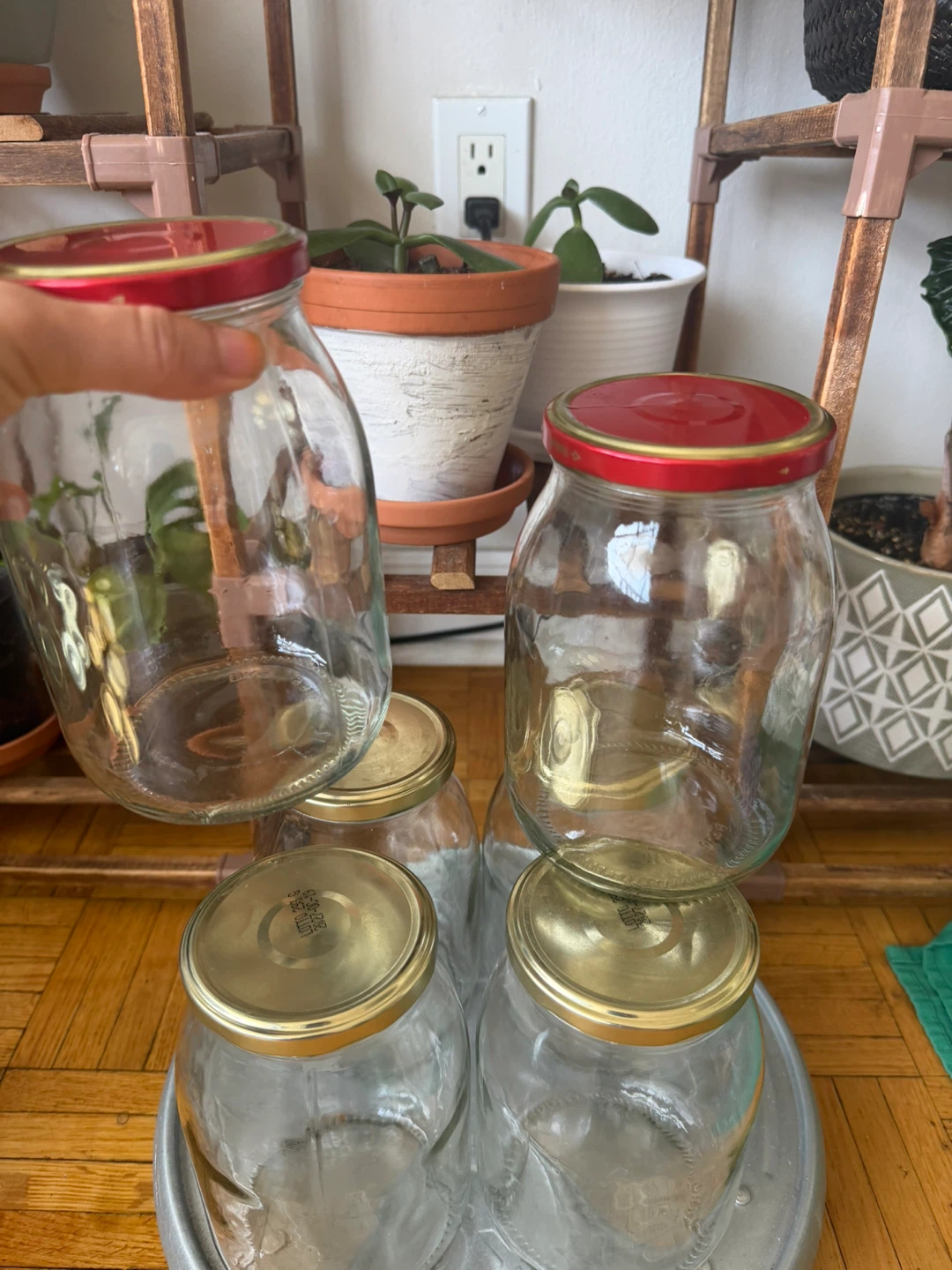 Set of 6 Glass Jars 🏈 - photo 3