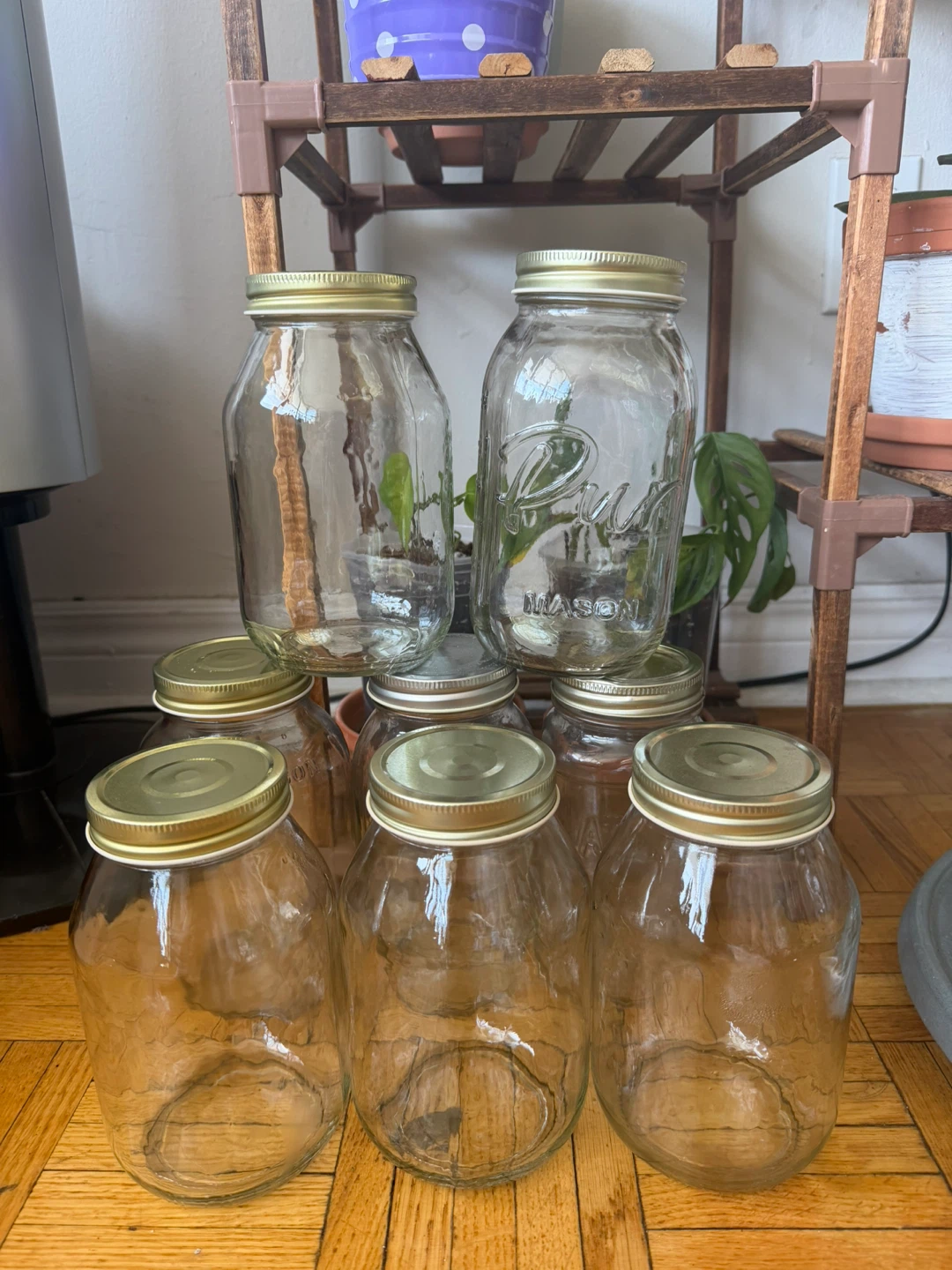Set of 8 Mason Jars 🏈