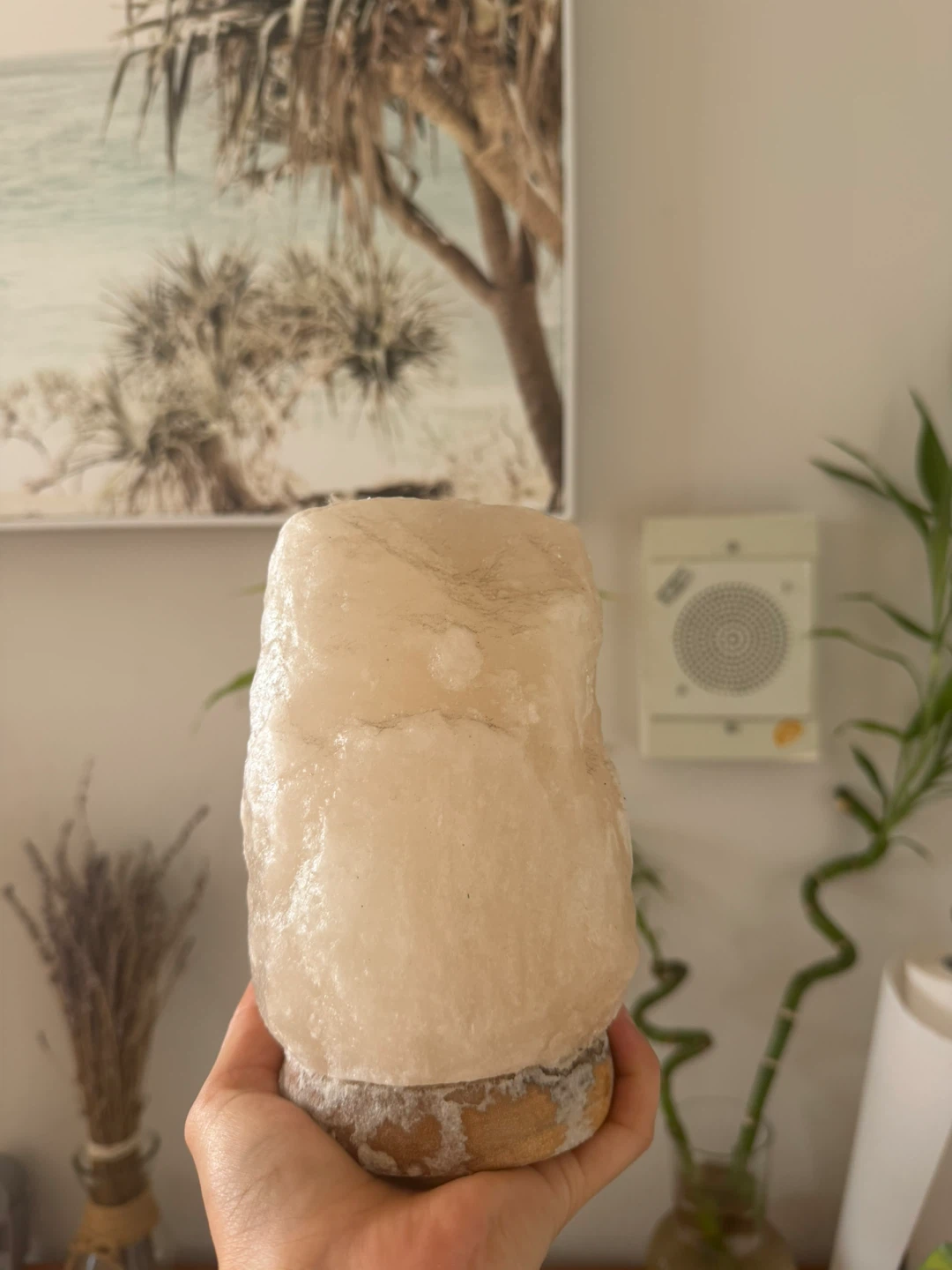 Natural Himalayan Salt Lamp