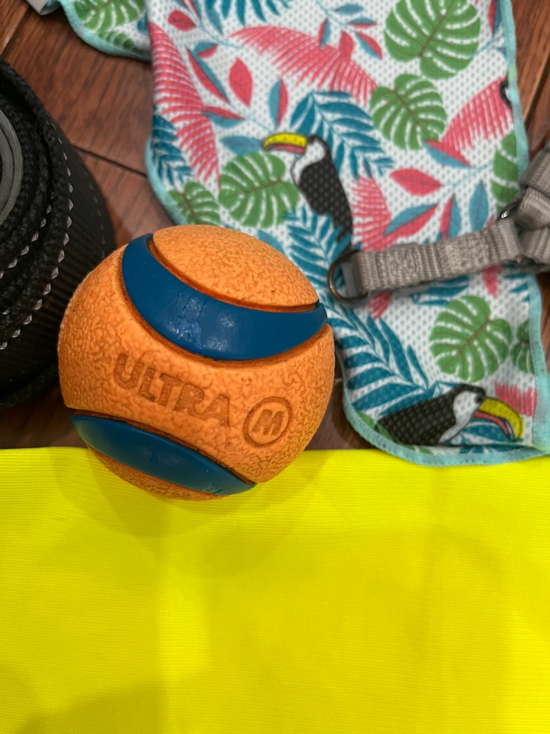 🏈Assorted Dog Accessories and Toy Bundle - photo 3
