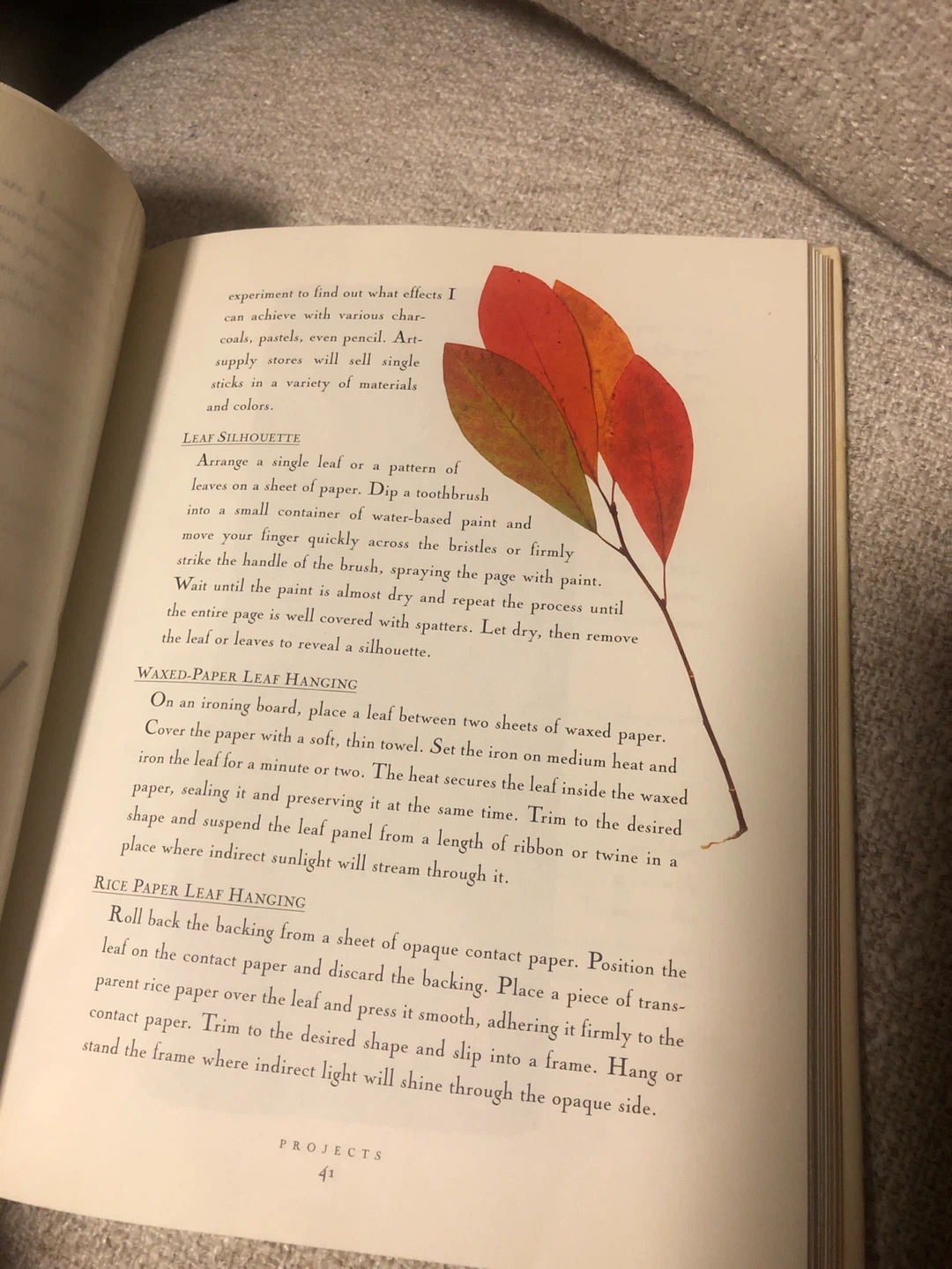 Fallen Leaves: A Pressed Leaf Keepsake Book 🏈 - photo 4