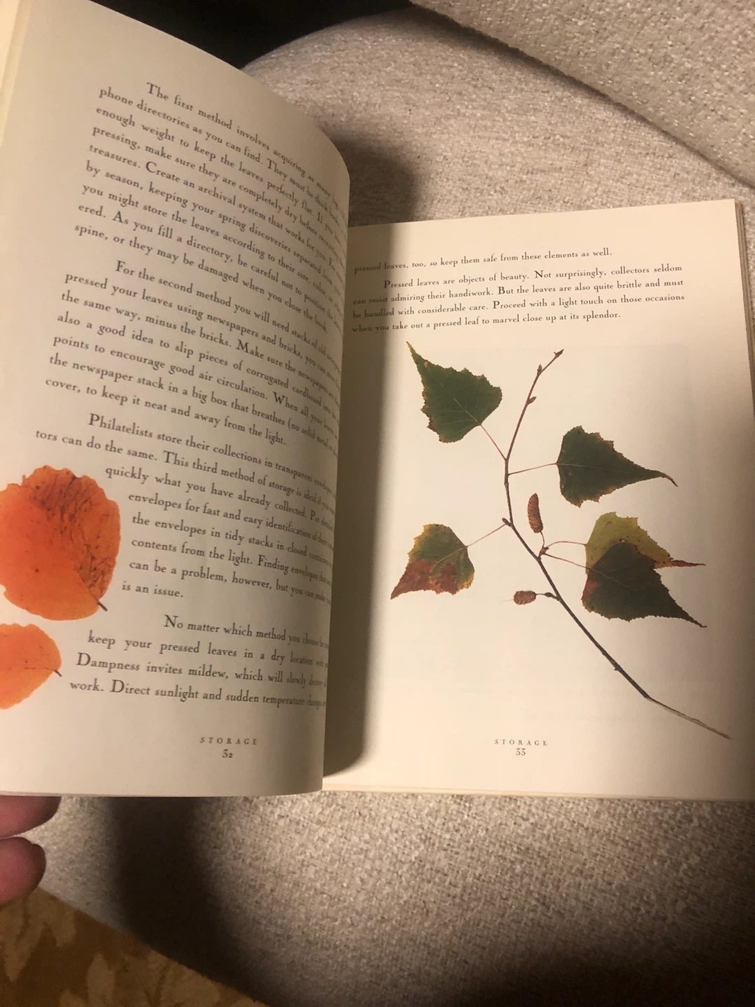 Fallen Leaves: A Pressed Leaf Keepsake Book 🏈 - photo 5