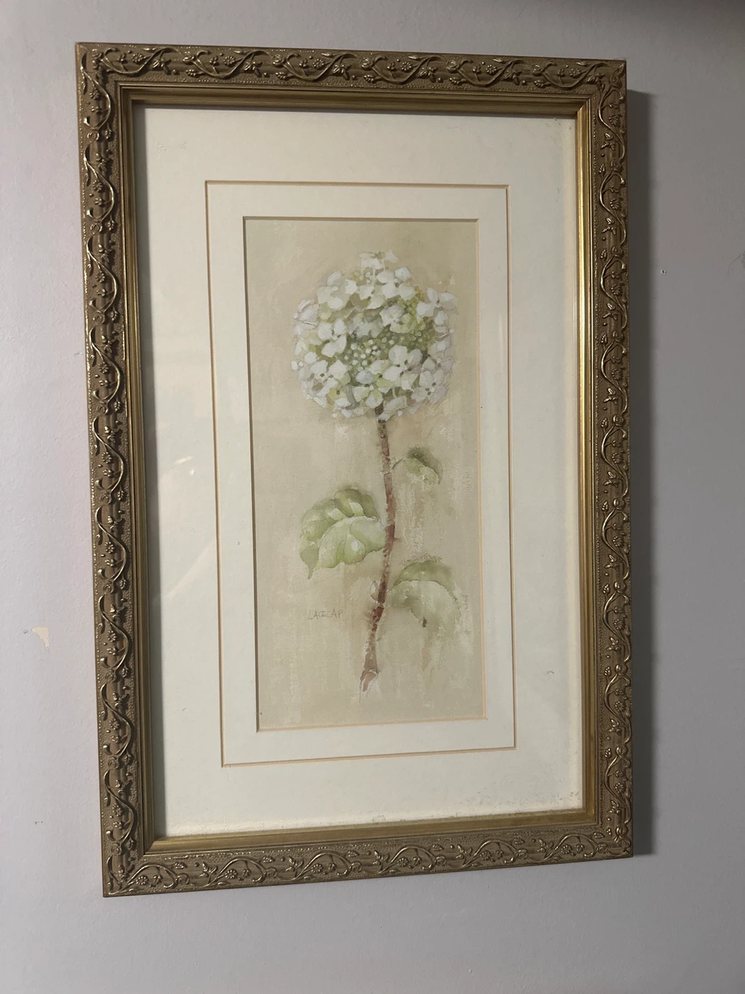 Set of Two Hydrangea Floral Framed Prints