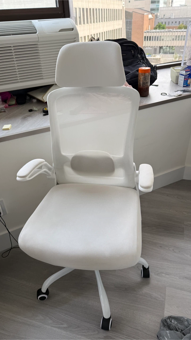 Ergonomic Office Chair, All White